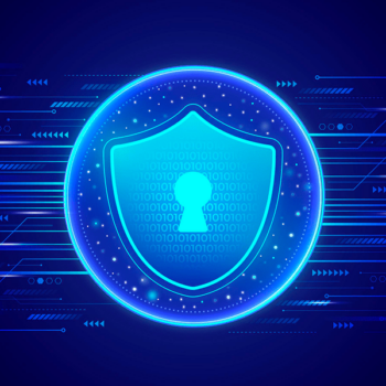 Virtual CISO (vCISO) Consultation